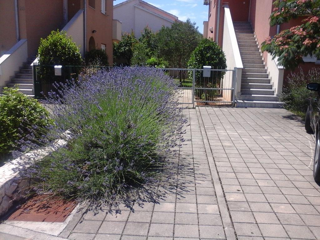 Apartments Danica Vodice Bagian luar foto